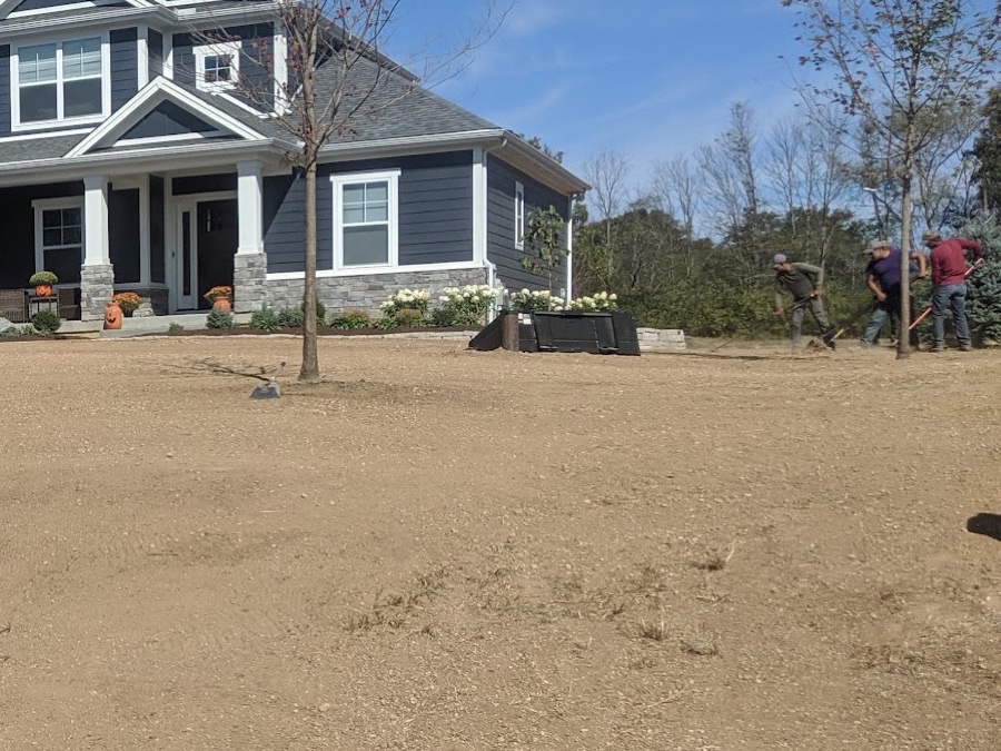 Three-man Somers crew raking out a graded lot beside newly planted hydrangea foundation beds and a stone wall at a new home
